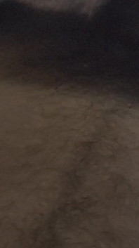 My Cock