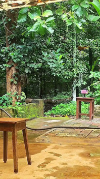 MILF Mallu dengan pantat besar seksi dalam pakaian loincloth dan tubuh tradisional, mendedahkan diri dalam badan seksi di luar rumah