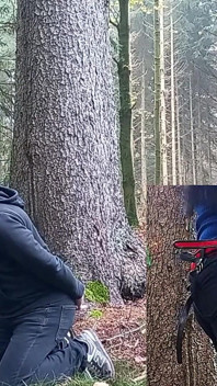 Nella foresta il perdente ottiene il cazzo