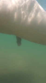 I Cum Just for the Pleasure of Feeling Free, Naked on a Public Beach