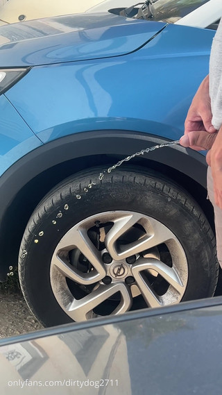 Dirty Dog: 小便合集。15 分钟从我到处撒尿