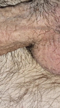 Duro esperma voleios de homens peludos de uma foda quente por um cavaleiro com precum e poderoso esperma grosso!