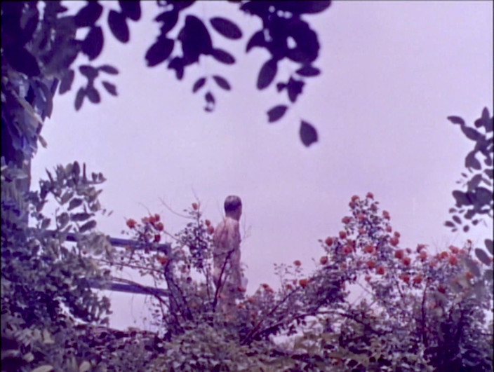 Vintage Erotic Archive: Diary of a Nudist (1961) - Restored &amp; Remastered in 4K