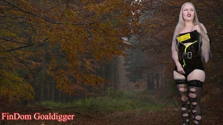 FinDom Goaldigger: Dangerous road