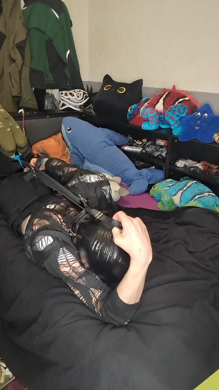 AJ_the_catgirl: Trying Head Harnes Hogtie