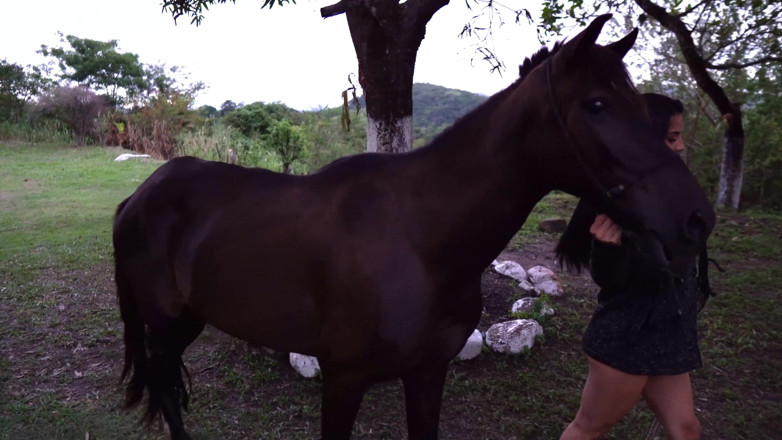 Ellas 4: Filme de fogo