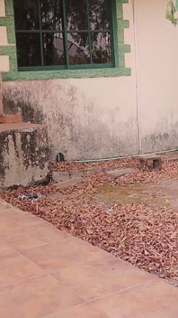 बीटीएस सैनिक की पत्नी पर झांक रहा है