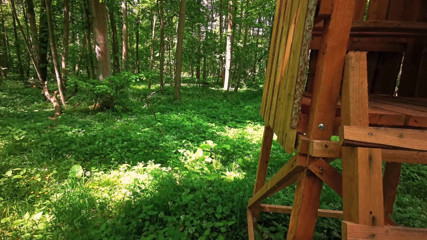 Bouncy Tits Action: 1000 de palme pe țâțe și 1000 pe pizda ei în pădure