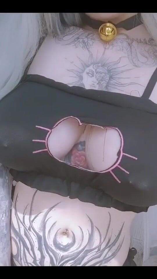 Can I Be Your Obedient Playfull Kitty? First I Want to Sit on Your Lap (Peach gardens) Can I Be Your Obedient Playfull Kitty? First I Want to Sit on Your Lap (Peach gardens)