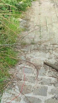 İşeme zamanı 3! sidik derlemesi