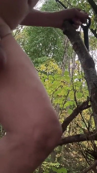 Anal kul med gren av träd i skogen