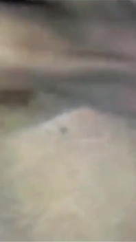 둘레 13cm (풍경)