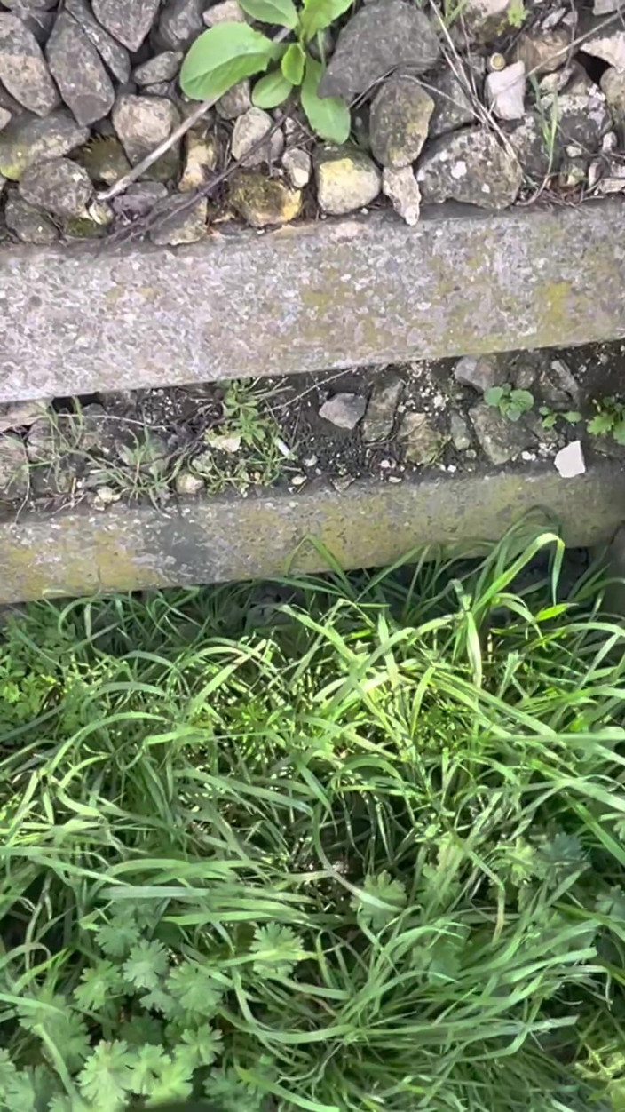 Hot dick in your ass: Recopilación de mí tomando orina traviesa en el parque