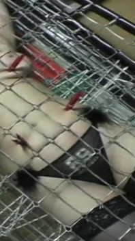 Extreme Big Tits Sluts Cruel Spanking Whipping Tit Busting Hot Candle Wax Punishment in Cruel BDSM Slave Training