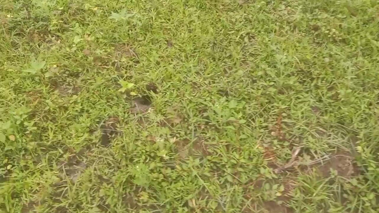 Priyanka314: Moglie tamil con hasband sesso all'aperto