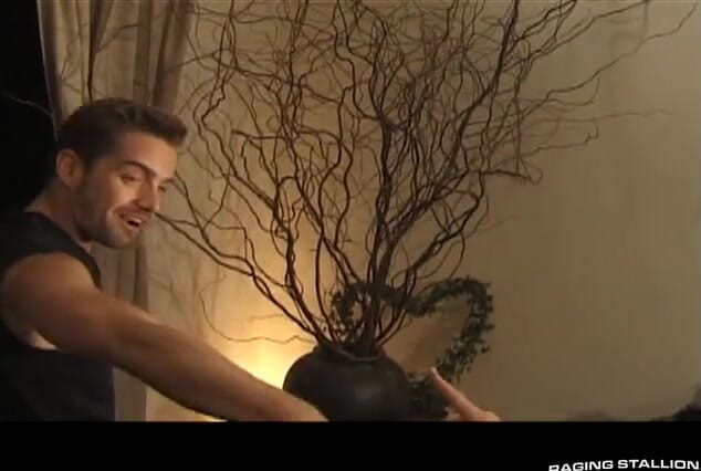 Raging Stallion: 더티 디렉터