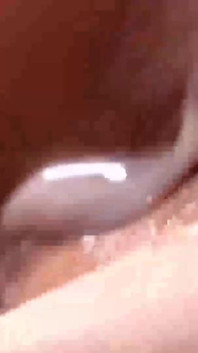 Close up Pussy Masturbation Compilation