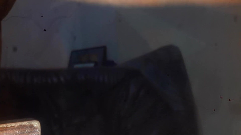 Tina Baby: Acordo de uso livre da madrasta