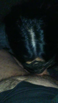 Hot Babe Gives Sloppy Blowjob POV Style