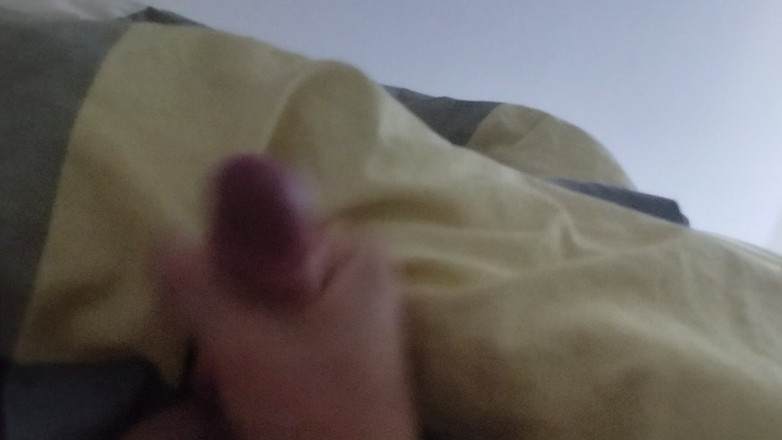 Bayer911: Morgonträ