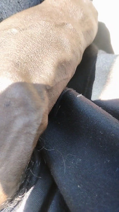 Chocolate Meat Stick: Chocolatemeatstick bbc intermitente