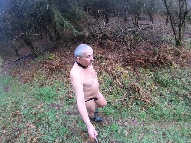 Andy: Cold Fresh Morning 2026