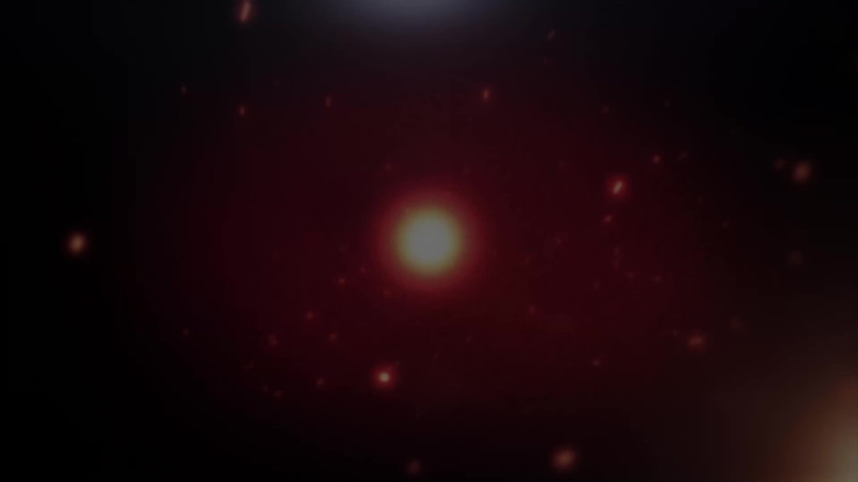 Super Hot Films: Sexy Nina Rivera dá a Don Whoe o de Natal...