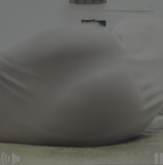 VerticalArgument4: Ця дупа