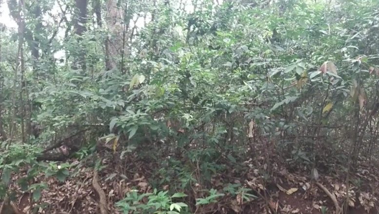 TheBlacKHunterr: मैं लैगून के पास एक और लेने के लिए रुक गया