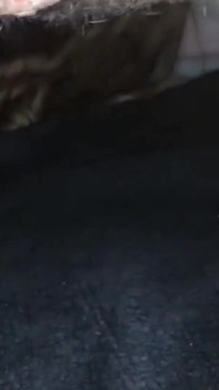 Amatör hemlagad creampie från Argentina Chetita