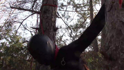 LauraOnHeels: Sesso all'aperto nel bosco. Indossa vestiti sexy e tacchi alti,...