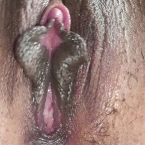 Faphouse