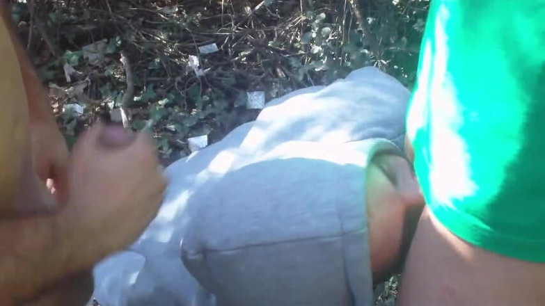 Amadeus studio: În timp ce ne plimbam, am găsit un curier UPS