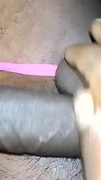 They Eat for the Stalls of the Stick