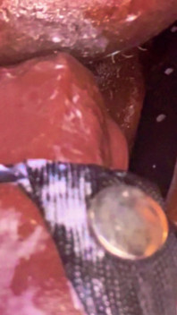 Riding Big Black Cock