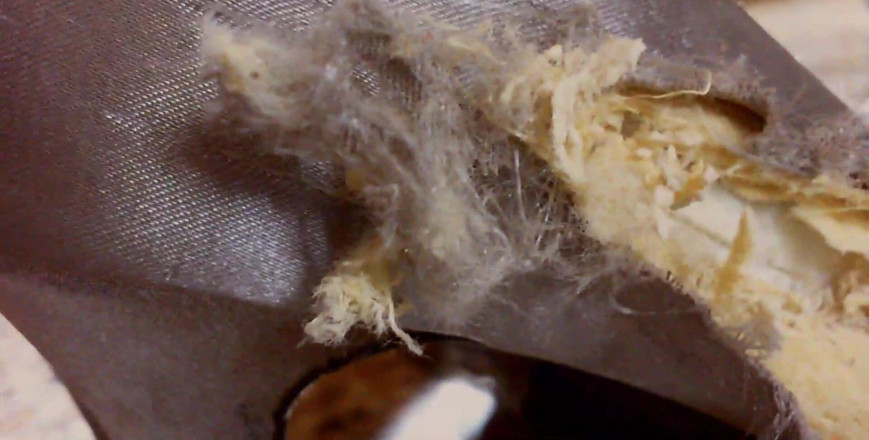 Nicoletta Embassi: 이 신발처럼 보일 준비가 되셨나요? 당신이 그들에 의해 분쇄되고 싶지 않을 진실을 말해