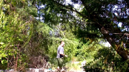 Black Keen: O gagică neagră călărește pula albă în aer liber într-o călătorie