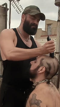 El maestro barbudo tiene un cerdo peludo esclavo y se afeita la cabeza.