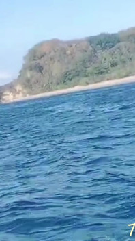 Âm hộ của tôi ngứa đến nỗi tôi trốn thoát bằng jetsky đến một hòn đảo để gặp bố tôi