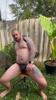 Dekhengst berijdt dildo's in de achtertuin