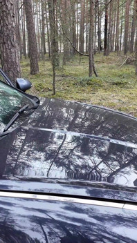 Помощь на дороге вознаграждена анальным сексом