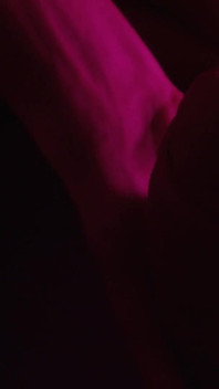 핑크 영상