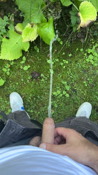 Golden Stream: Peeing in Paradise