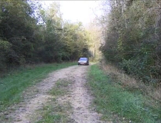 Horny TS babes: Französische transe bläst schwanz im freien