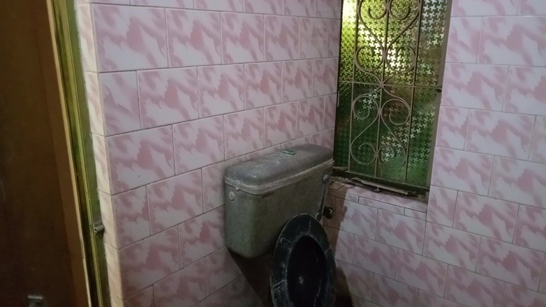 LinearOrnament35: Desi Boy