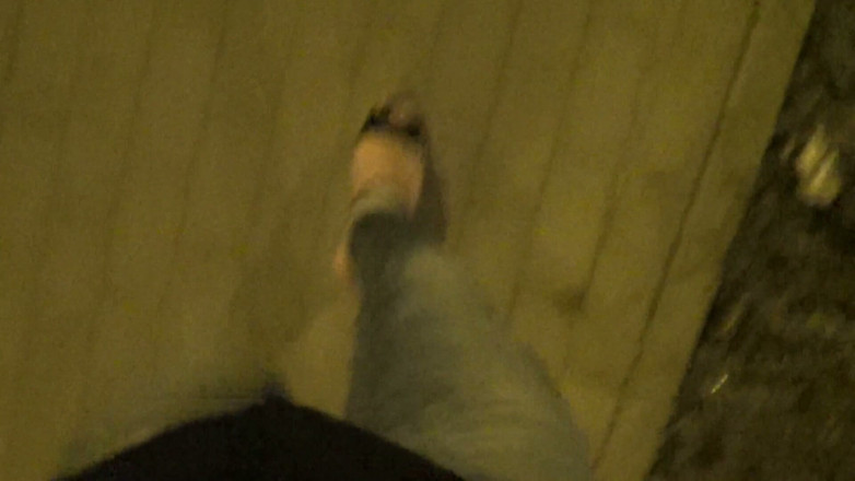 Heelex: Sexy Wedges