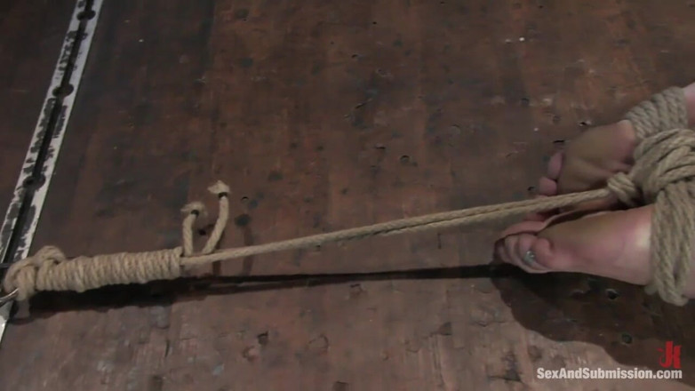 Sex and Submission by Kink: Şehvetli vonn