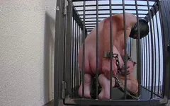 Caged amateur