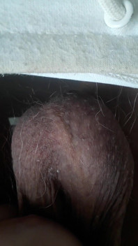 Dick Flat