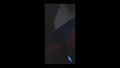KNKY Bee: 光明是快乐的灯塔